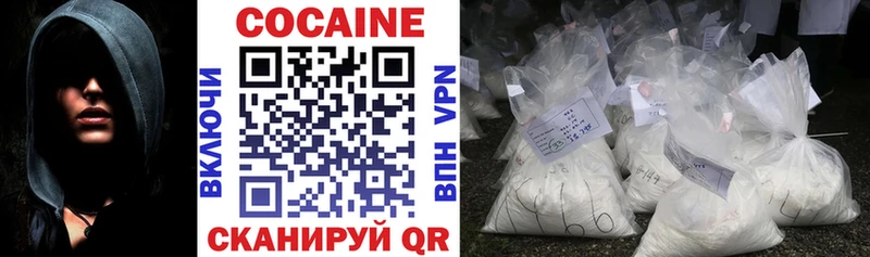 как найти   Новодвинск  Кокаин Fish Scale 