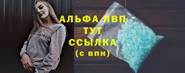 спайс Арсеньев