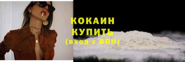 спайс Арсеньев