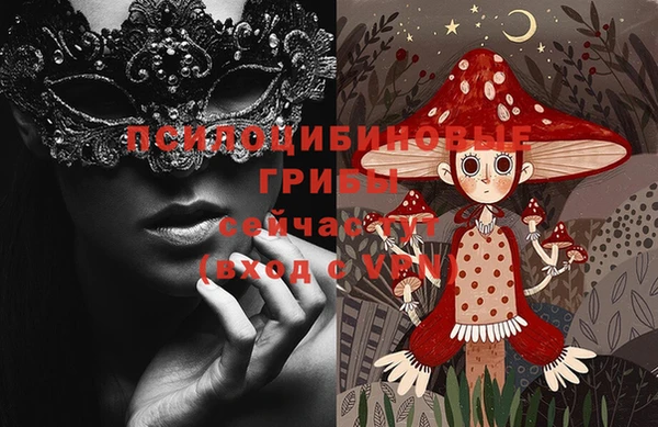 тгк Аркадак