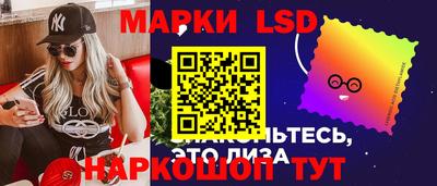 СК Новозыбков