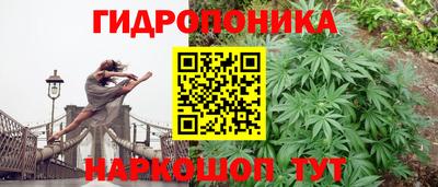 мескалин Новодвинск