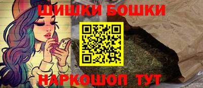 СК Новозыбков