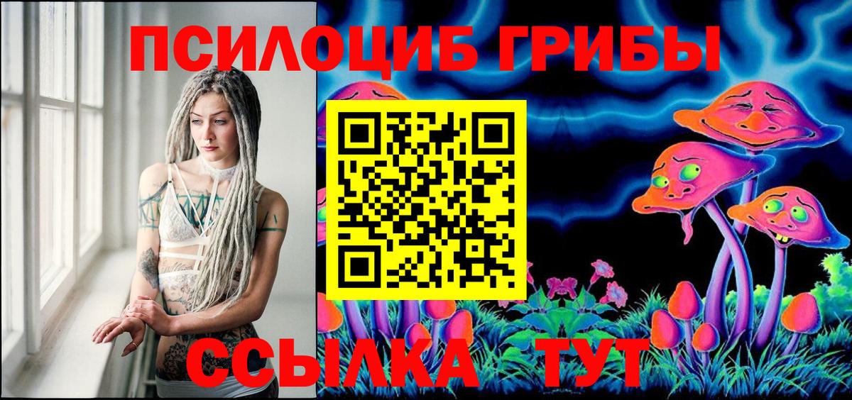 Галлюциногенные грибы Psilocybine cubensis  Псилоцибиновые грибы GOLDEN TEACHER  Новодвинск  Вход с VPN 